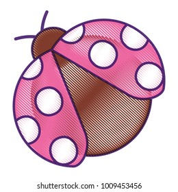 ladybug insect small icon animal