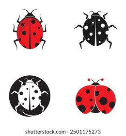 Ladybug. Insect ladybug, vector illustration design