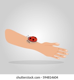 ladybug insect walking on human arm. what a nice experience to meet such a creature in the wilderness of nature