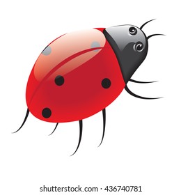 ladybug isolated art illustration abstract white background vector