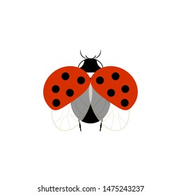 Ladybug isolated. Illustration ladybird fly. Cute colorful sign red insect symbol spring, summer, garden. Template for t shirt, apparel, card, poster, etc. Design element Vector illustration.