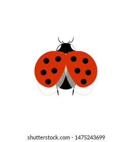 Ladybug isolated. Illustration ladybird fly. Cute colorful sign red insect symbol spring, summer, garden. Template for t shirt, apparel, card, poster, etc. Design element Vector illustration.
