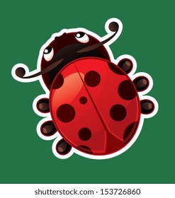 Ladybug isolated on color background