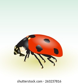 Ladybug isolated on the gradient background - vector illustration.