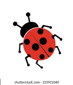Ladybug isolated on white 
