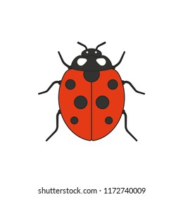 Ladybug isolated on white background. Vector illustration in flat design style