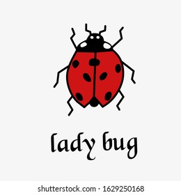 Ladybug isolated on white background