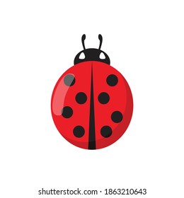 Ladybug isolated on white background. Cute black and red lady beetle in flat style. Vector stock