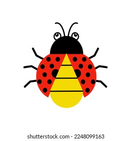 Ladybug isolated on white background.
