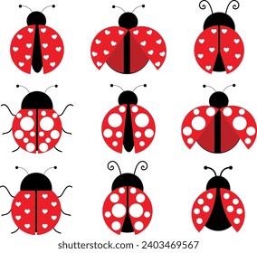 Ladybug Isolated on White Background