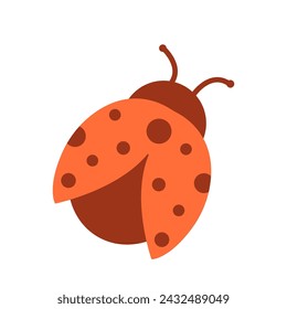 Ladybug isolated on a white background. Red bug flat