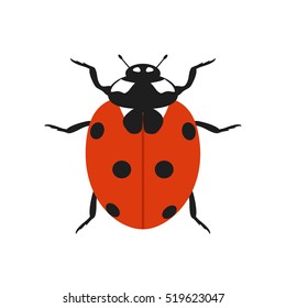 Ladybug, isolated on white background. Vector icon