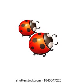 Ladybug einzeln auf Weiß. Vektorgrafik