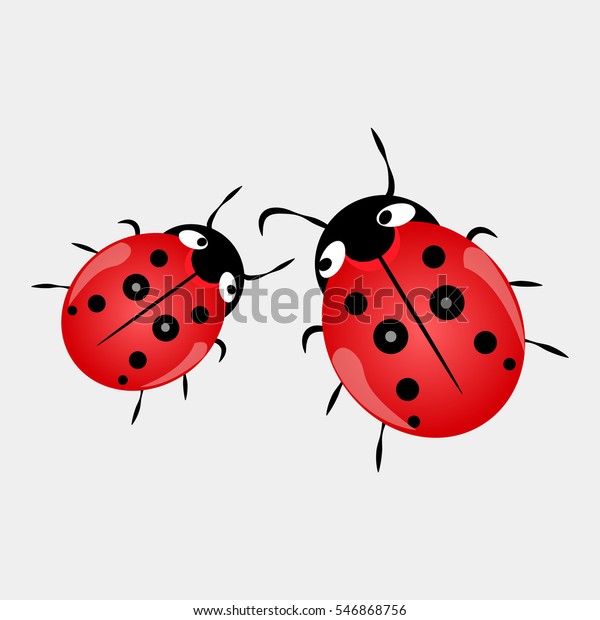 Ladybug Isolated On White Vector Illustration vector de stock libre de regalías
