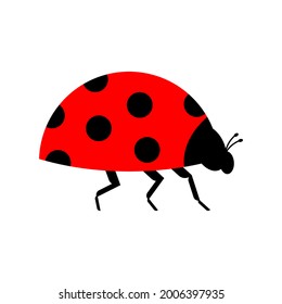 Ladybug isolated. Red small bug. beetle vector illustration