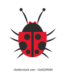 Ladybug isolated symbol