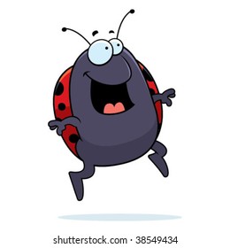 Ladybug Jumping