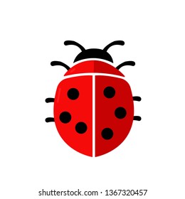 Ladybug or ladybird flat icon isolated on white background. Vector illustration.