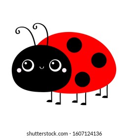 Ladybug Ladybird icon. Cute cartoon kawaii smiling baby animal character. Funny insect. Flat design. Isolated. White background. Vector illustration