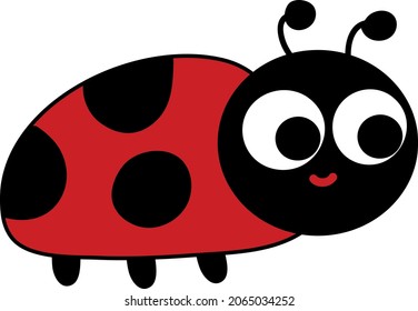 ladybug ladybird illustration design vector 