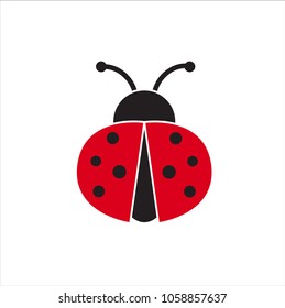 Ladybug or ladybird vector graphic illustration