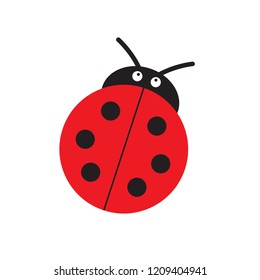 Ladybug or ladybird vector graphic illustration, isolated. Cute simple flat design of black and red lady beetle.