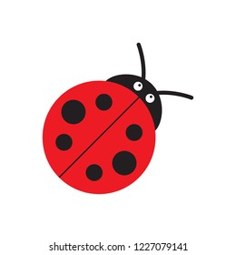 Ladybug or ladybird vector graphic illustration, isolated. Cute simple flat design of black and red lady beetle.