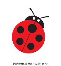 Ladybug or ladybird vector graphic illustration, isolated. Cute simple flat design of black and red lady beetle.