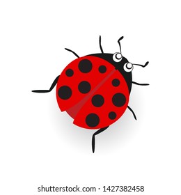 Ladybug or ladybird vector graphic illustration, isolated