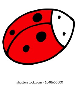 Ladybug or ladybird vector graphic illustration, isolated. Cute simple flat design of black and red lady beetle.
