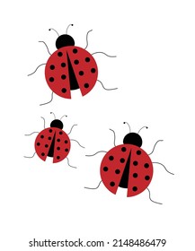 Ladybug oder ladybird, Vektorgrafik