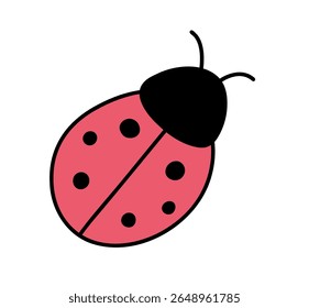 Joaninha ou joaninha ilustração gráfica vetorial, isolada.