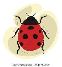 Joaninha ou joaninha vetor graphic.beetle