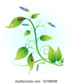 ladybug and leaf