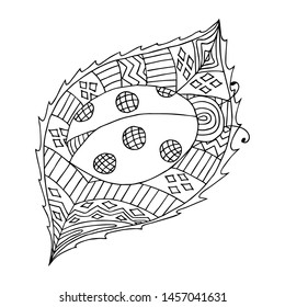 Ladybug and leaf. Doodle coloring page. Vector illustration.