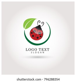 Ladybug & Leaf Logo. Symbol & Icon Vector Template.