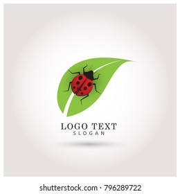 Ladybug & Leaf Logo. Symbol & Icon Vector Template.