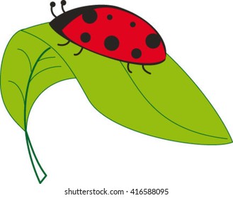 ladybug, leaf, vector illustration