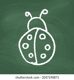 Ladybug line Icon design, white chalk. Draw a picture on the blackboard.