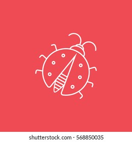 Ladybug Line Icon On Red Background