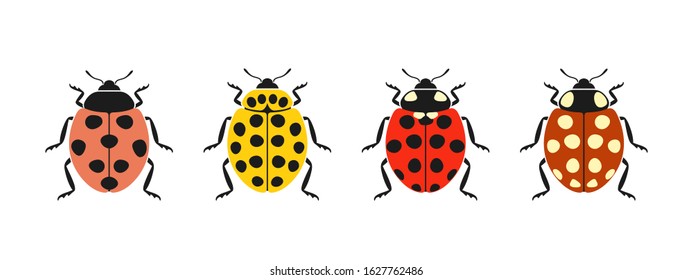 ladybug logo. Isolated ladybug on white background