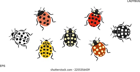 ladybug logo. Isolated ladybug on white background