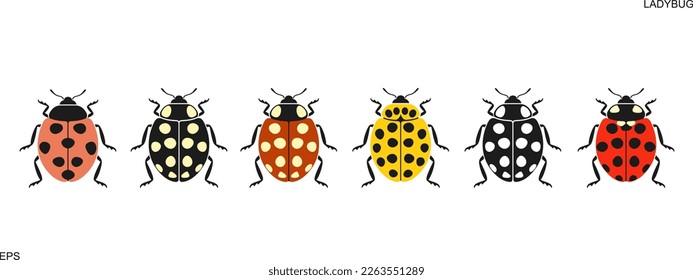 ladybug logo. Isolated ladybug on white background