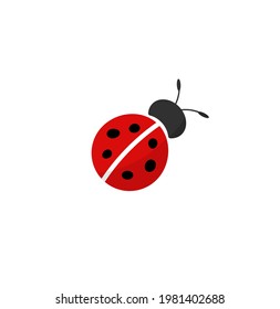 the ladybug logo on an isolated background.vector illustration