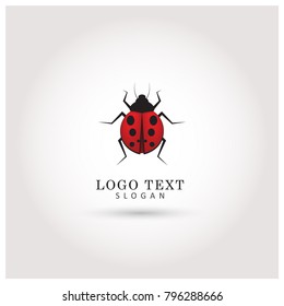 Ladybug Logo. Symbol & Icon Vector Template.