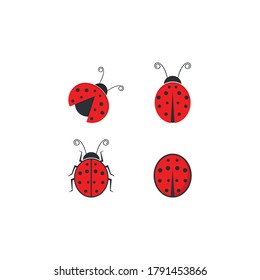 Ladybug logo vector icon illustration design 