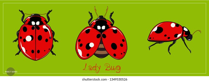 Ladybug - Lovely dotted pattern insect.