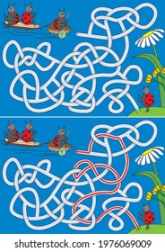 Ladybug maze for kids with a solution