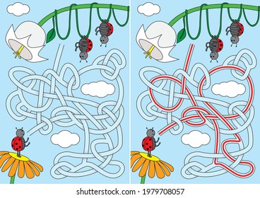 Ladybug maze for kids and solution