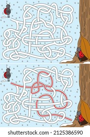 Ladybug maze for kids with a solution